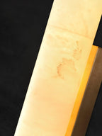 Alabaster Tube LED Wall Sconce With Hardwired Modern Design